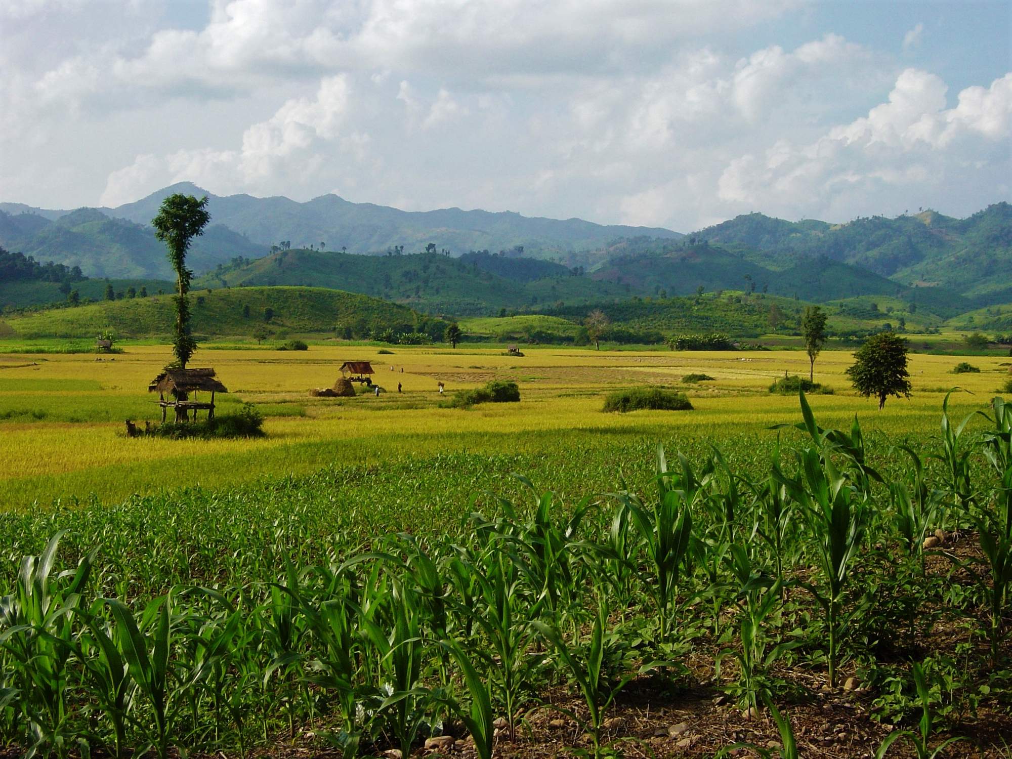Photos from our Laos - South to North Cycling Holiday