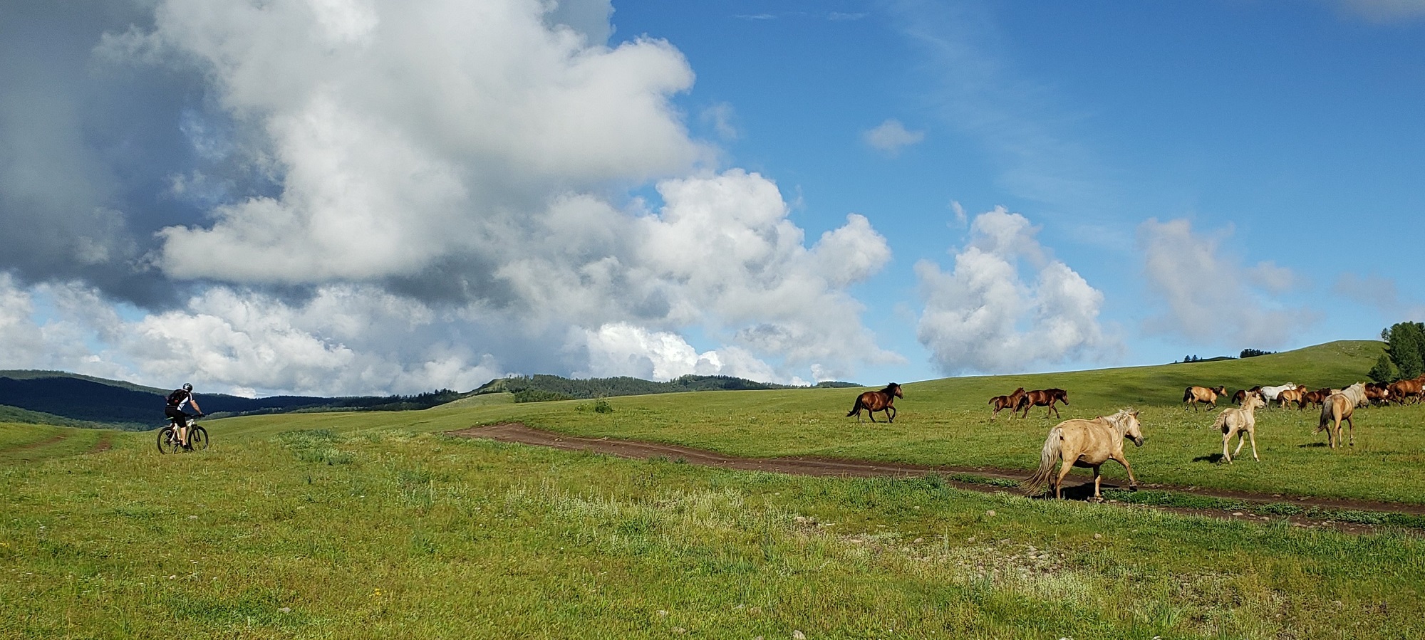Photos from our Mongolia Bulgan Cycling Holiday