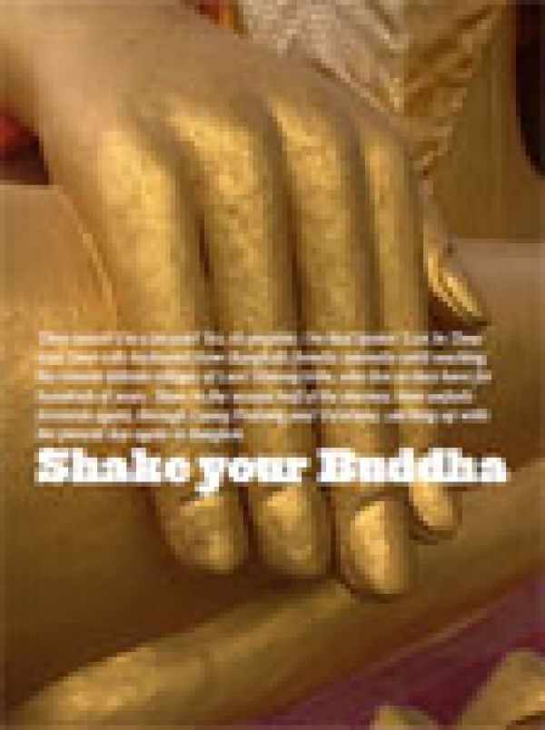 Shake Your Buddha | redspokes News Article