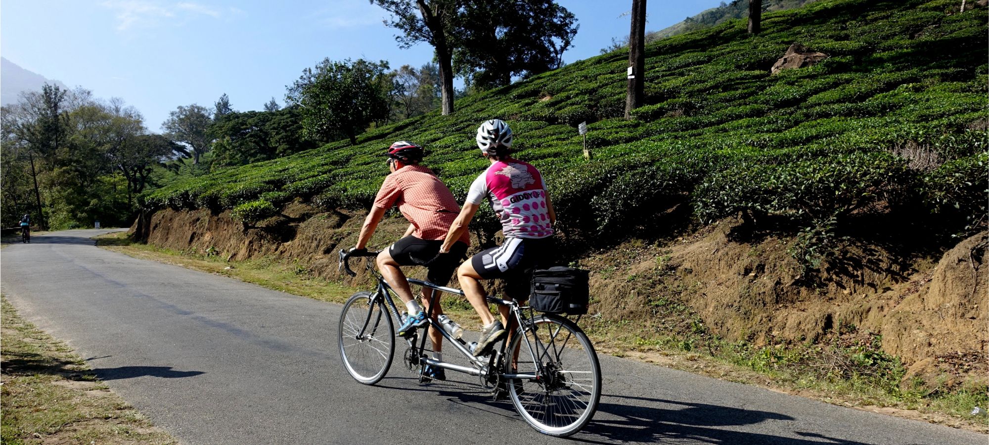 Cycling Holidays - Kerala - Tamil Nadu 