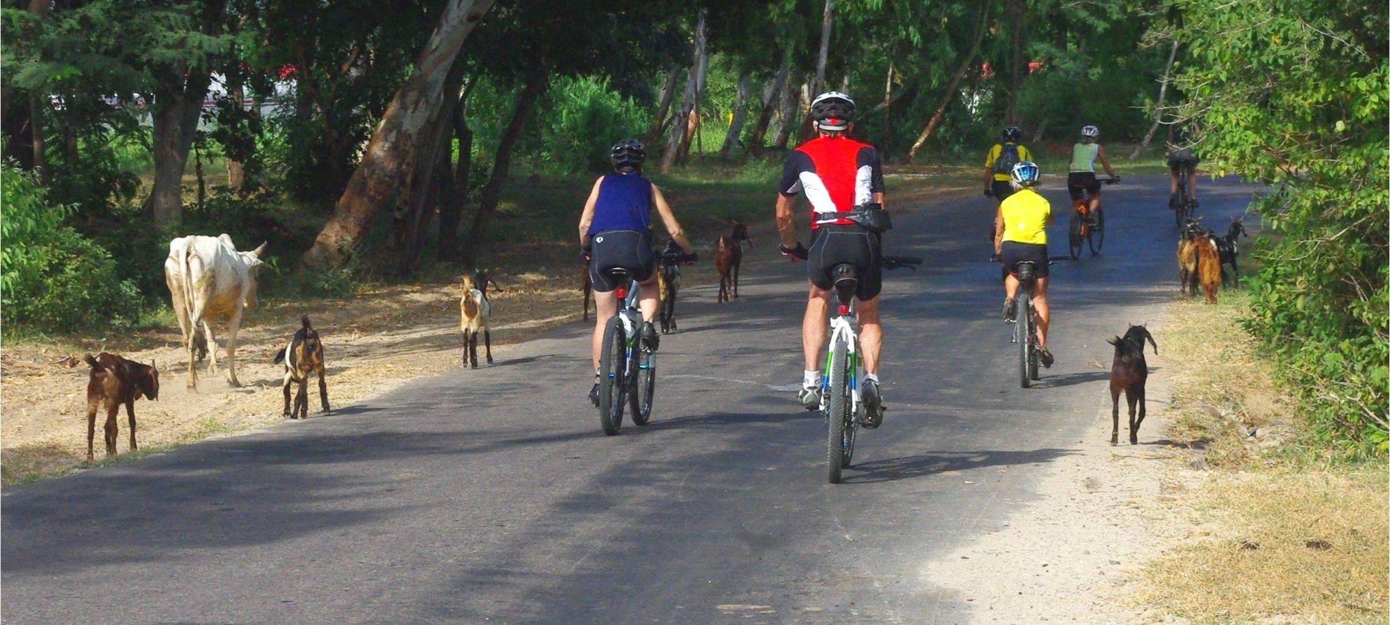 cycling holidays Myanmar