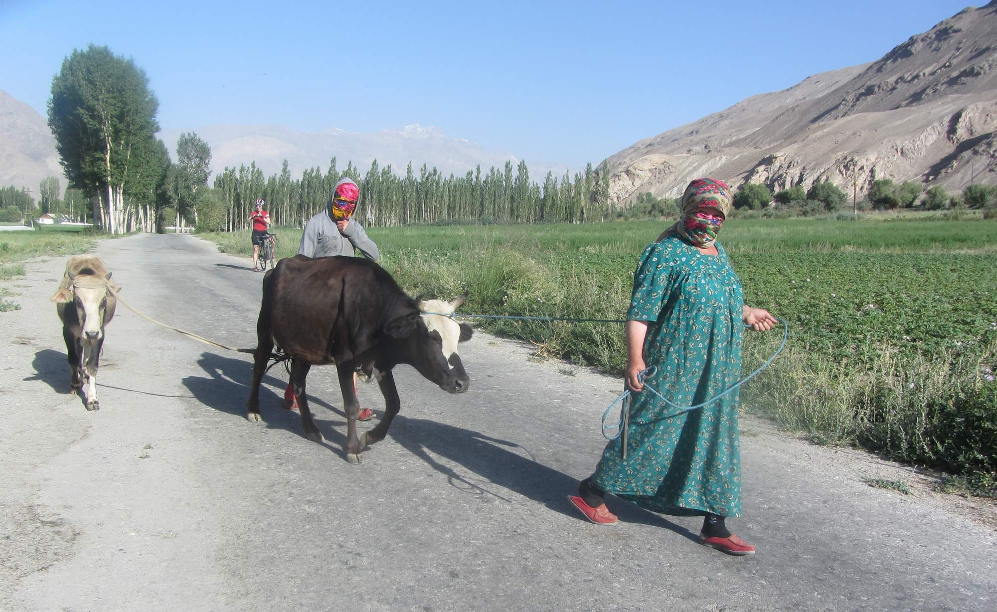 Yamchun, Tajikistan