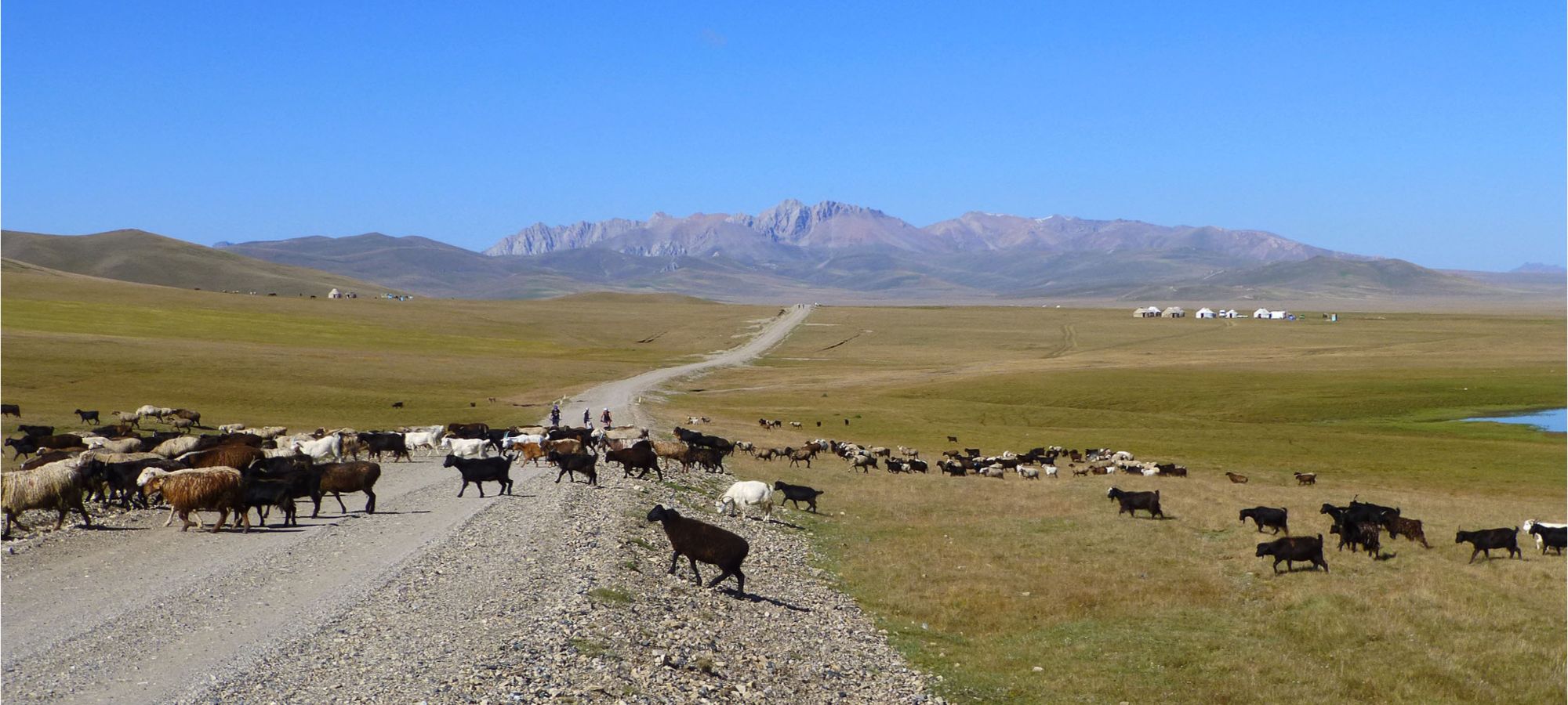 Photos from our Kyrgyzstan - The Shepherd's Way Cycling Holiday