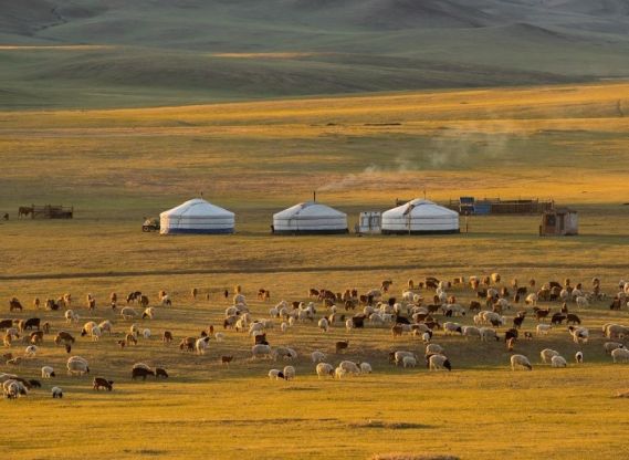 Explore redspokes' Mongolia Gobi Bicycle Tour
