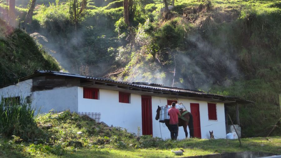 5 star review from Eli Baron, Texas, United States