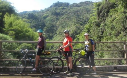 5 star review from Wendy Holland, Whangarei, New Zealand