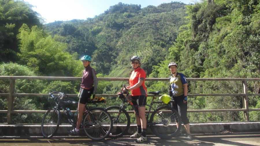 5 star review from Wendy Holland, Whangarei, New Zealand
