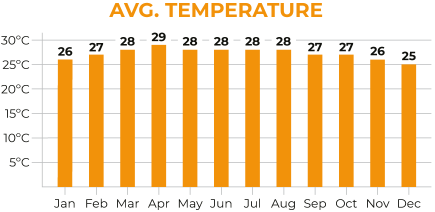Cambodia Average Temperature Chart