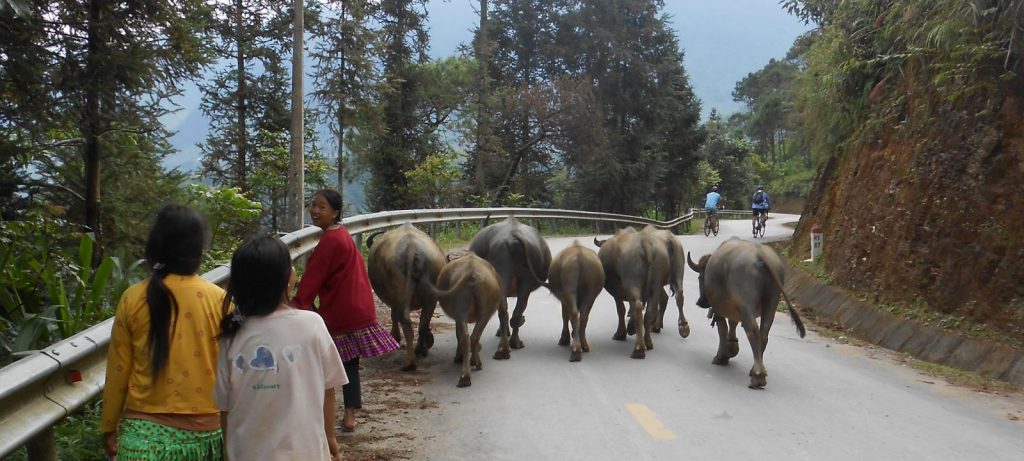 Cycling-Vacation-through-North-East-Vietnam-2