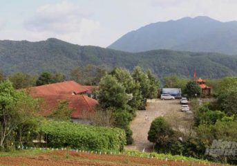 Tinh Tuc