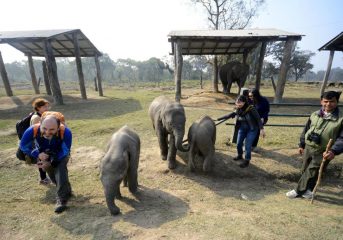 Chitwan
