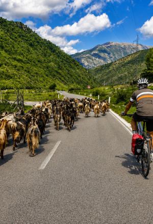 Albania Classic