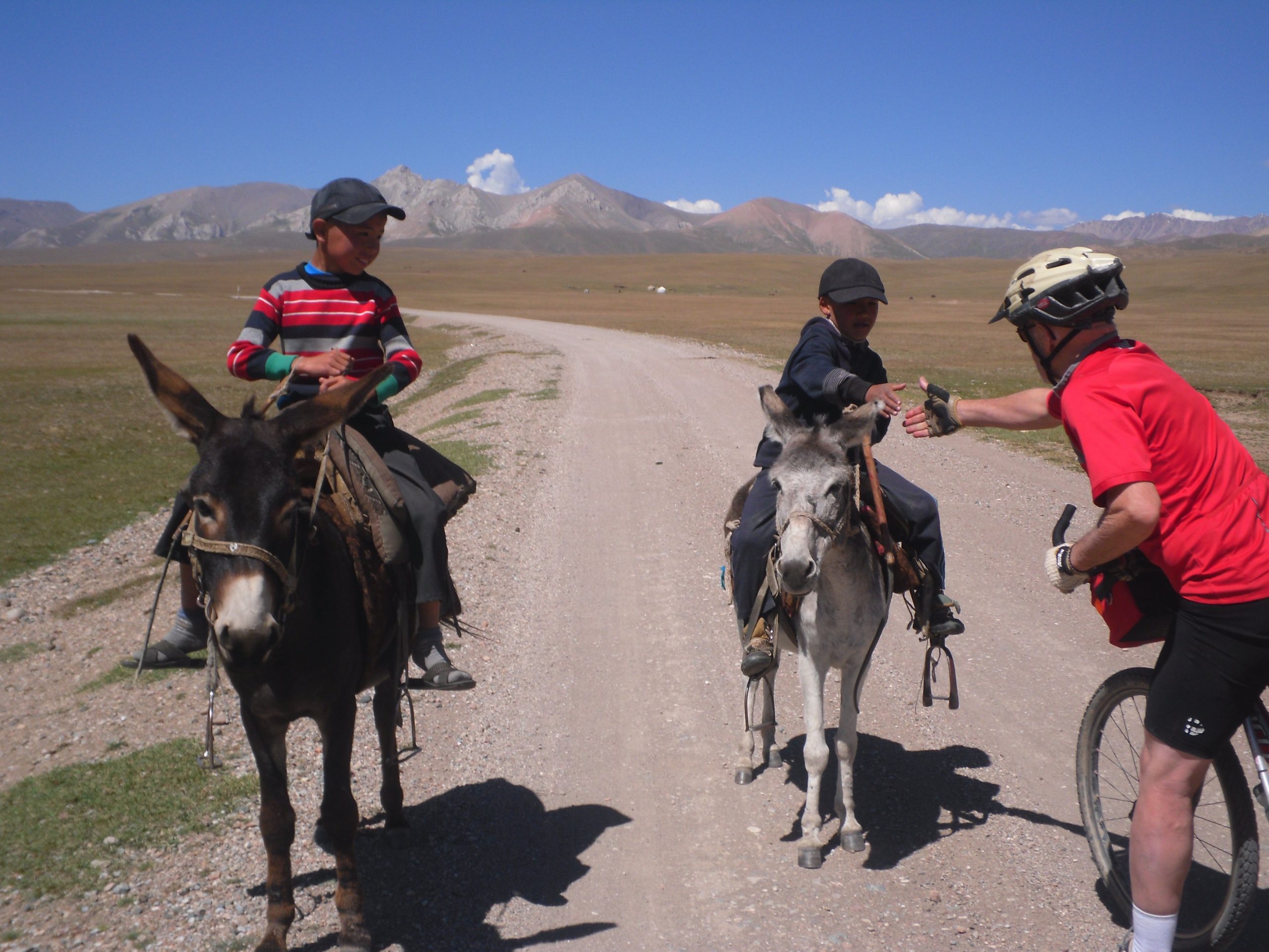 All Cycling Tours