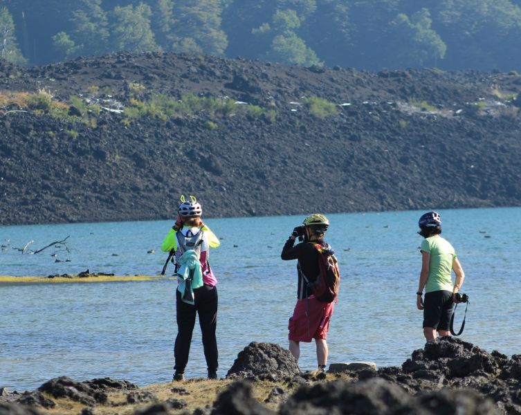 4 star review from "Dee" de Wit, Lincolnshire, England, UK