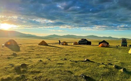 5 star review from Karen Karnuta, Colorado, USA